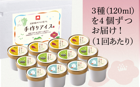 【全3回定期便】【一年中美味しい！こだわりがつまった島のアイス！】手づくり アイス 3種 セット 計12個【マルマス】[RAX017]