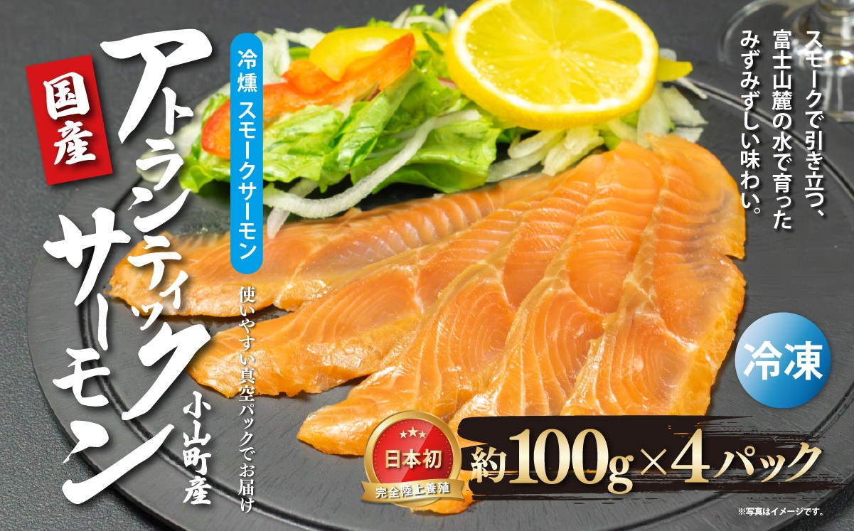 
                  国産 静岡県小山町産 アトランティックサーモン 冷凍 スモークサーモン 約100g×4パック 冷燻 | サーモン スモークサーモン 小分け 真空パック 燻製 国産 鮭 養殖 スモークサーモン 静岡県 小山町
                
