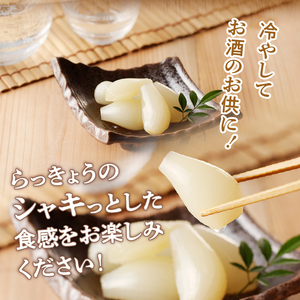食べきりサイズ 色白美人らっきょう 国産無添加 80g×2袋　ラッキョウ 食べきりサイズ 160g おつまみ ご飯のおとも お酒のお供 野菜 旬 漬物 つけもの お漬物 常温保存 山梨県 北杜市 [h