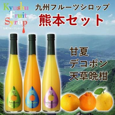 ふるさと納税 水俣市 九州果実シロップ【熊本セット】500ml×3本 甘夏・デコポン・天草晩柑
