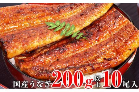 超特大国産うなぎ10本セット （200～229g）(B269-1)