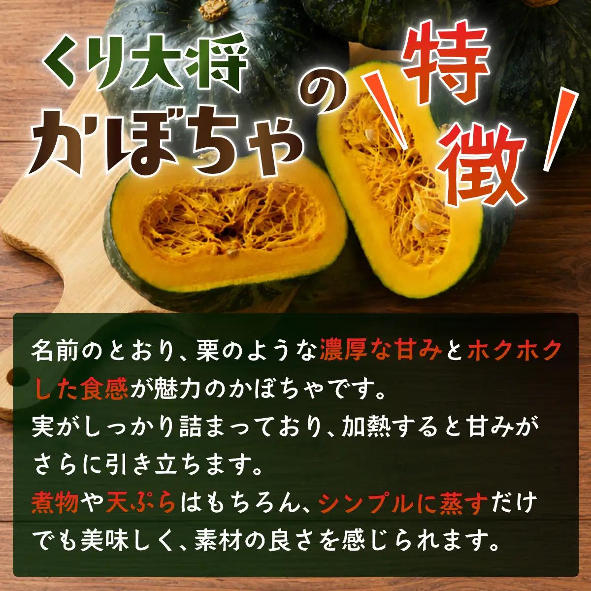 【訳あり】かぼちゃ くり大将 カボチャ 約10kg (5～6玉)