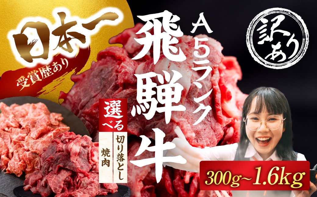 
                  ≪選べる 訳あり≫ 飛騨牛 A5 切り落とし 焼肉 300g ～ 1.6kg｜選べる 牛肉 肉 飛騨牛 A5 A5ランク A5等級 部位おまかせ 厳選部位 おまかせ お任せ 切り落とし 焼肉 焼き肉 選べる 牛肉 肉 飛騨牛 A5 A5ランク A5等級 部位おまかせ 厳選部位 おまかせ お任せ 切り落とし 焼肉 焼き肉 10000円 1万円 中部ミート 岐阜県 大垣市
                