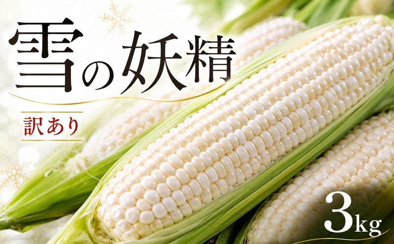 
                  【 訳あり 】 とうもろこし 白いとうもろこし 雪の妖精 約 3kg 数量限定 希少 珍しい コーン フルーツ 高糖度 サイズ不揃い 甘い 白い 朝採れ 産地直送 産直 冷蔵 国産 千葉県産 銚子産 新鮮 野菜 旬 夏野菜 夏 野菜 toumorokosi もろこし とうきび なんばん BBQ バーベキュー お取り寄せ 銚子 ふるさと納税トウモロコシ 送料無料 ふるさと納税 千葉県 銚子市 孝農園
                
