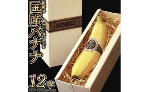 国産バナナNEXT716 「12本」　レギュラーサイズ【国産 バナナ 無農薬 フルーツ 果物 デザート 朝食 スムージー 川南町】[H5804P]
