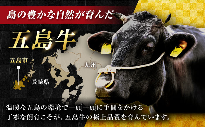 【12回定期便】五島牛薄切り700g（ロース300g/モモ400g） 五島市/ごとう農業協同組合[PAF014] 