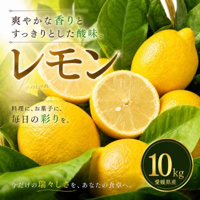 ふるさと納税 松山市 【選び抜いた一箱】香り際立つ【レモン】10kg　愛媛県産