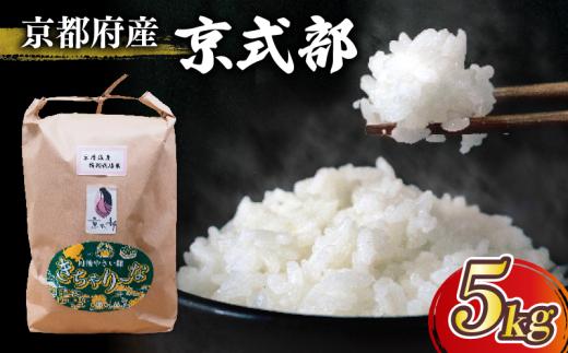 【令和7年産 新米】 京都府産 米 京式部 5kg (お米 5キロ 白米 精米 国産 京都 こめ おこめ ブランド米 2025年度 JA JA京都 京都府産 京都府 コシヒカリを基準米としたブランド米