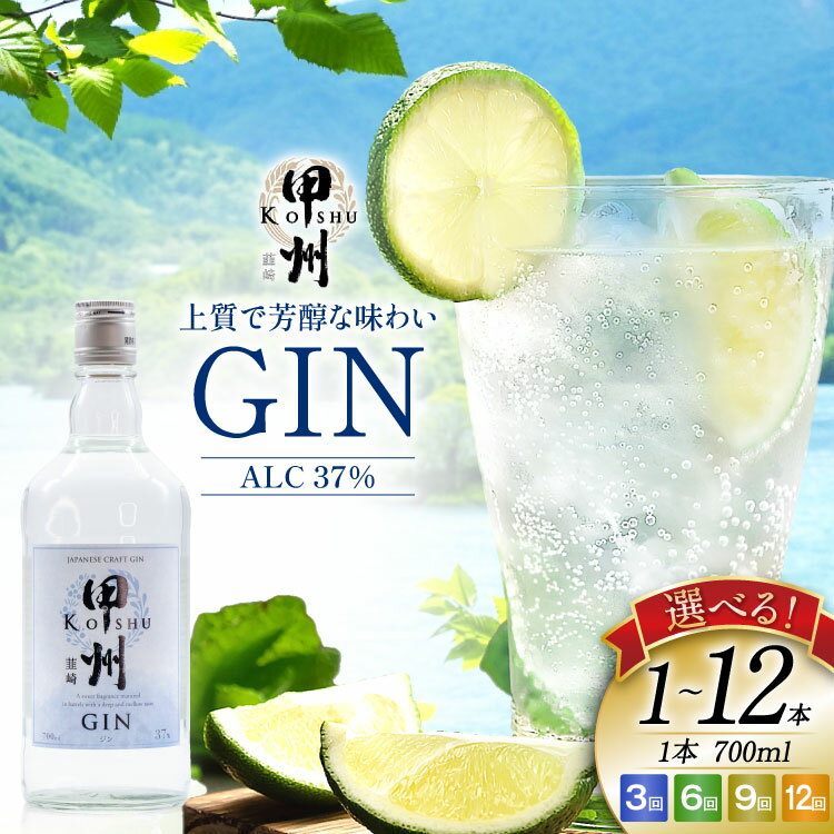 【ふるさと納税】クラフトジン 甲州韮崎 ジン 700ml ジントニック ハイボール 大容量 定期便 セット 酒 お酒 洋酒 地酒 スピリッツ 蒸留酒 国産 カクテル JIN ソーダ割り アルコール ボタニカル GIN ライム [マツムラ酒販 山梨県 韮崎市 20745189] レビューキャンペーン