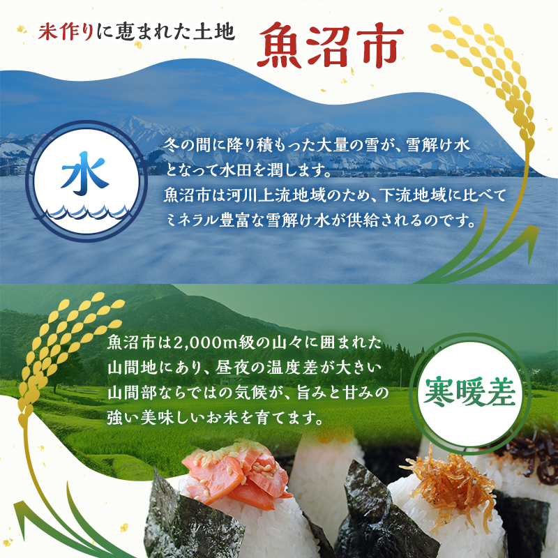 【定期便：雪国逸品    無洗米2kg×6ヶ月】越後魚沼郷    魚沼産コシヒカリ