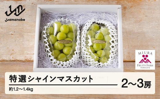 《先行予約》2026年 山形県山辺町産 特選シャインマスカット 2～3房セット（1.2～1.4kg） 2026年9月上旬から順次発送 F21A-238