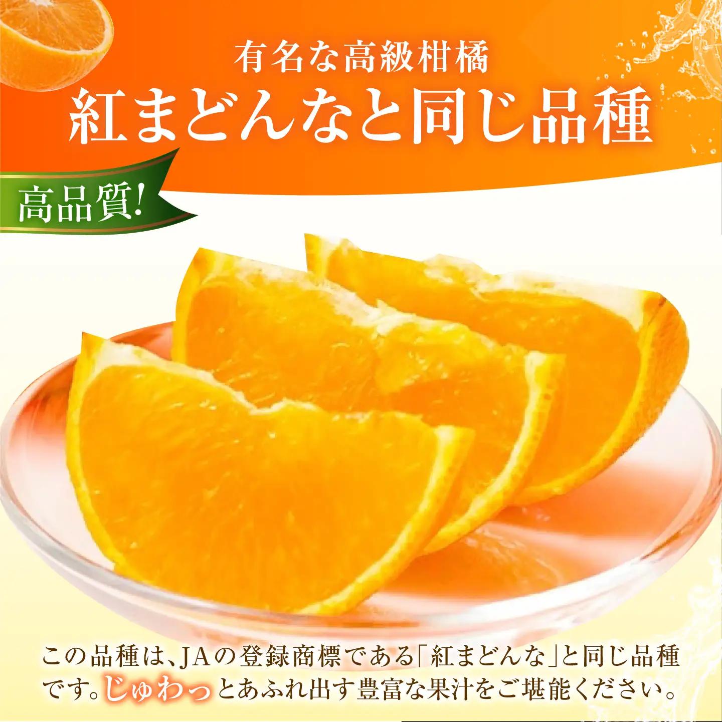 みかん 訳あり 愛果28号 約1kg【12月上旬から2月下旬まで順次発送】 / フルーツ 果物 蜜柑 ミカン オレンジ 訳あり 訳アリ 小玉 甘い 先行予約 約1kg 愛媛 / 愛媛県砥部町/西岡さん