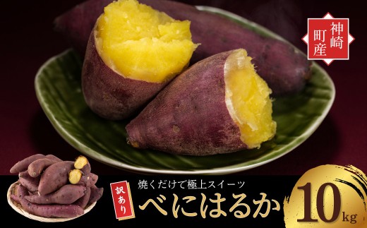 ＼焼き芋ファン必見！／ 神崎町産 べにはるか 訳あり さつまいも 10kg｜甘くてねっとり、無選別でご家庭向けにたっぷりサイズ♪ (3月～12月受付分は翌年1月中旬～3月中旬発送) さつま芋 焼き芋 焼きいも イモ 芋 紅はるか 訳アリ 干し芋 ほしいも 蜜芋 スイートポテト 大学芋 おやつ ねっとり しっとり 甘い 高糖度[016-a010-2026]