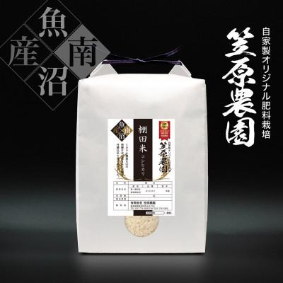 ふるさと納税 南魚沼市 令和7年産　南魚沼産　笠原農園棚田米　コシヒカリ　無洗米　5kg