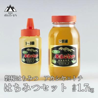 ふるさと納税 磐梯町 磐梯はちみつ　はちみつセット　トチ×アカシヤ　1.7kg※