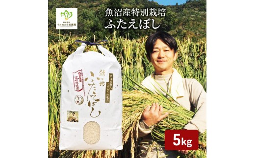
                  令和8年産 先行予約　魚沼産特別栽培ふたえぼし 精米5kg 米 こめ お米 コメ ふたえぼし 新潟県 魚沼市 魚沼 特別栽培米 
                