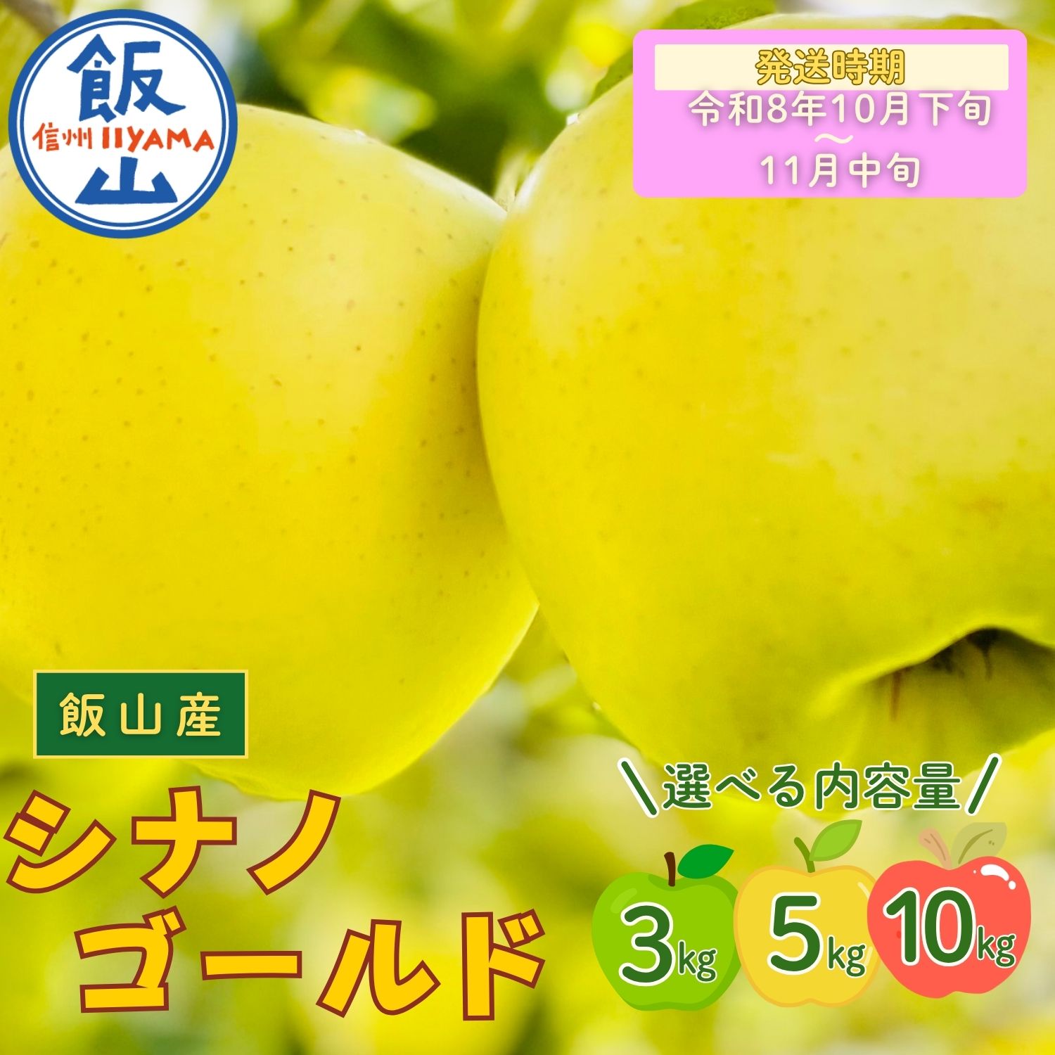 【ふるさと納税】2026年 先行予約 ＼ シナノゴールド／ 選べる 3kg / 5kg / 10kg 長野県産 ＜出荷開始：2026年10月下旬頃〜11月中旬頃＞【 りんご リンゴ 林檎 ゴールド フルーツ 果物 くだもの 信州 甘い 産地直送 新鮮 オススメ 美味しい 長野県 飯山市 】(At）