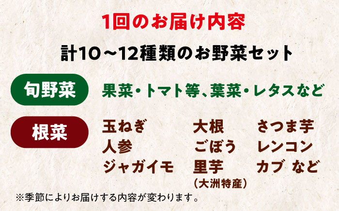 【全6回定期便】【シェフの目線】あったら嬉しい根菜セット×おまかせ旬野菜　愛媛県大洲市/有限会社ヒロファミリーフーズ [AGBX013]野菜 サラダ カレー トマト 料理 大根 鍋 にんじん 果物 芋