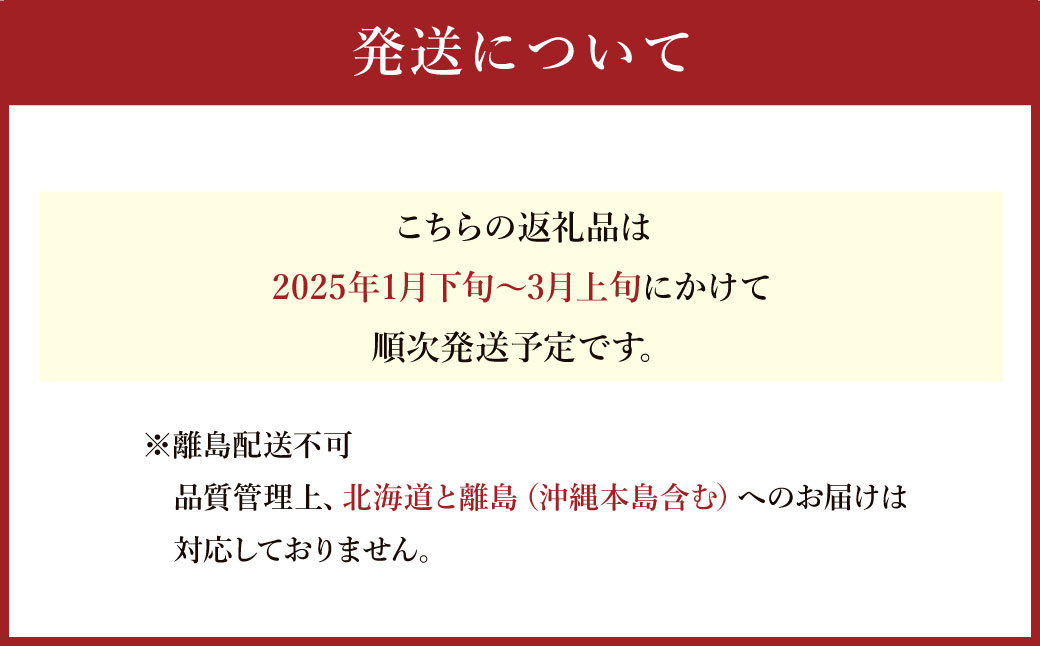 あまおう いちご 4パック