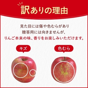 りんご サンふじ 家庭用 8kg