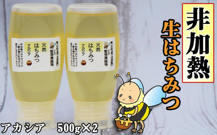 
簗場養蜂場 非加熱 生はちみつ アカシア 500g 2本 ／ はちみつ 蜂蜜 ハチミツ 国産 【あねっこ】
