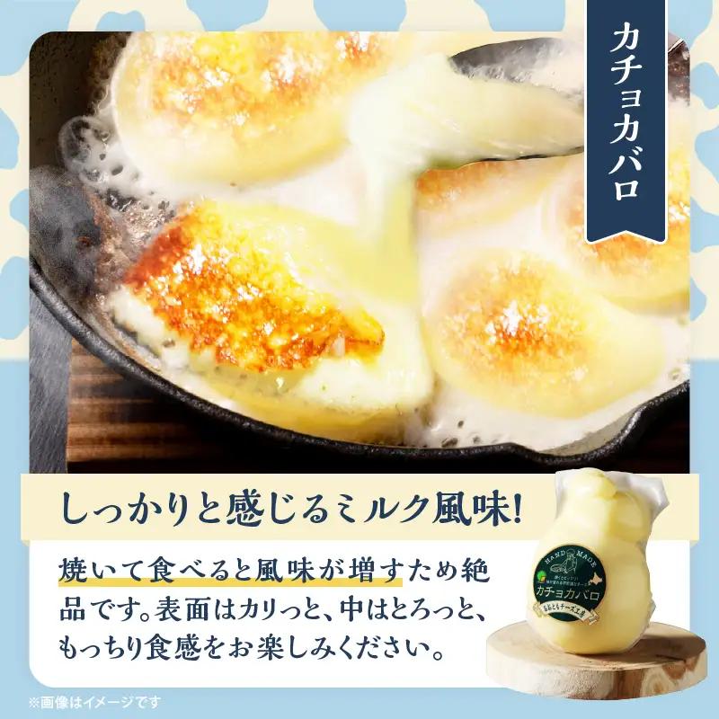 【おおともチーズ工房】《スペシャル満腹セット!!》なまらたっぷりカチョカバロ180g×12個_H0003-123