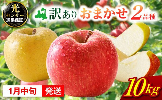 【2027年1月中旬発送】 【訳あり】 旬の美味しい りんご 約10kg 青森産 【おまかせ2品種】