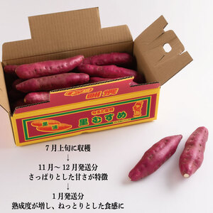 なると金時 里むすめ Mサイズ 5kg 2025年12月発送 さつまいも Mサイズ 芋 いも なると金時 里むすめ 鳴門金時 芋棒 ロールケーキ スイートポテト 干し芋 焼き芋 フルーツ スイーツ ケ