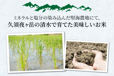 【令和5年産】福井県産コシヒカリ「千石」 10kg[A-079002]