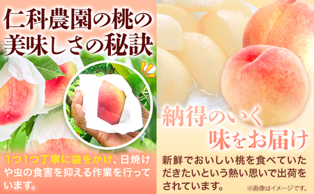 桃 おまかせ約2kg おかやま夢白 清水白桃 