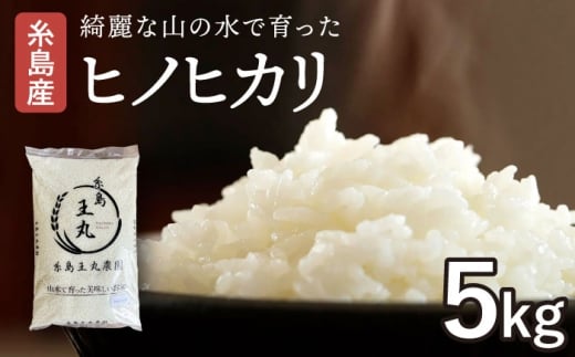 【令和7年産】糸島産 ヒノヒカリ 5kg 糸島市 / 糸島王丸農園　( 谷口汰一 )【いとしまごころ】 [AAZ010]
