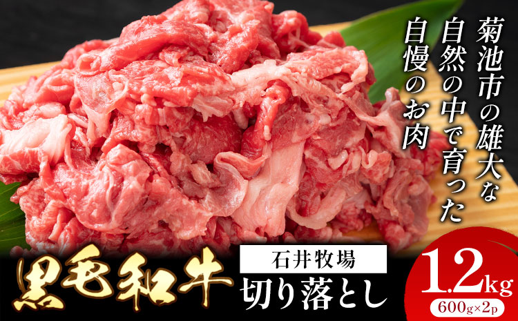 黒毛和牛 切り落とし 約1.2kg 600g×2パック 《90日以内に出荷予定(土日祝除く)》 牛肉 ---053-1100---