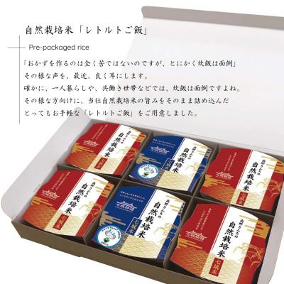 ふるさと納税 菊池市 高野さんちの自然栽培米 レトルトご飯 6個 |  | 01