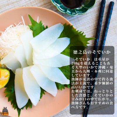 ふるさと納税 徳之島町 徳之島の漁師が荒波で釣り上げたそでいか 3種盛り お刺身・いかキムチ・つけあげ |  | 01