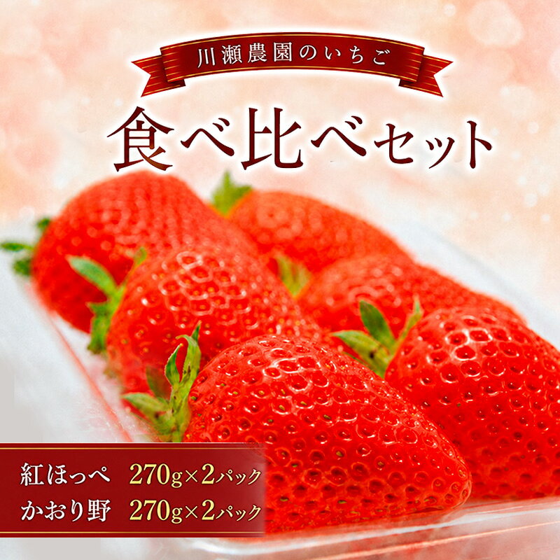 【ふるさと納税】川瀬農園のいちご食べ比べセット　4パック　お届け：2027年1月下旬より出荷