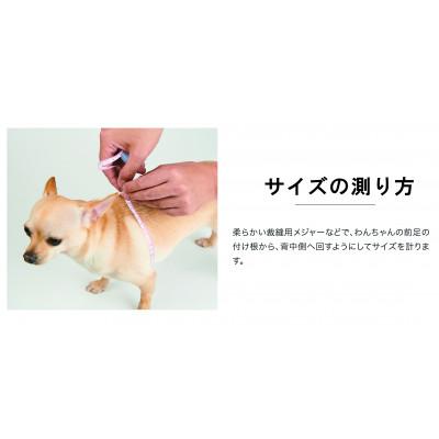 ふるさと納税 八潮市 メガネハーネス【Lサイズ】フランボワーズ(本革製) kazama premium |  | 01