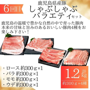 【F90003】＜定期便・全6回＞肝付町セレクト定期便《鰻と豚肉を楽しむ定期便》 鹿児島 豚肉 鹿児島県産 黒豚 鰻 うなぎ ウナギ とんかつ しゃぶしゃぶ ハム ウィンナー 定期便 セレクト 冷凍 