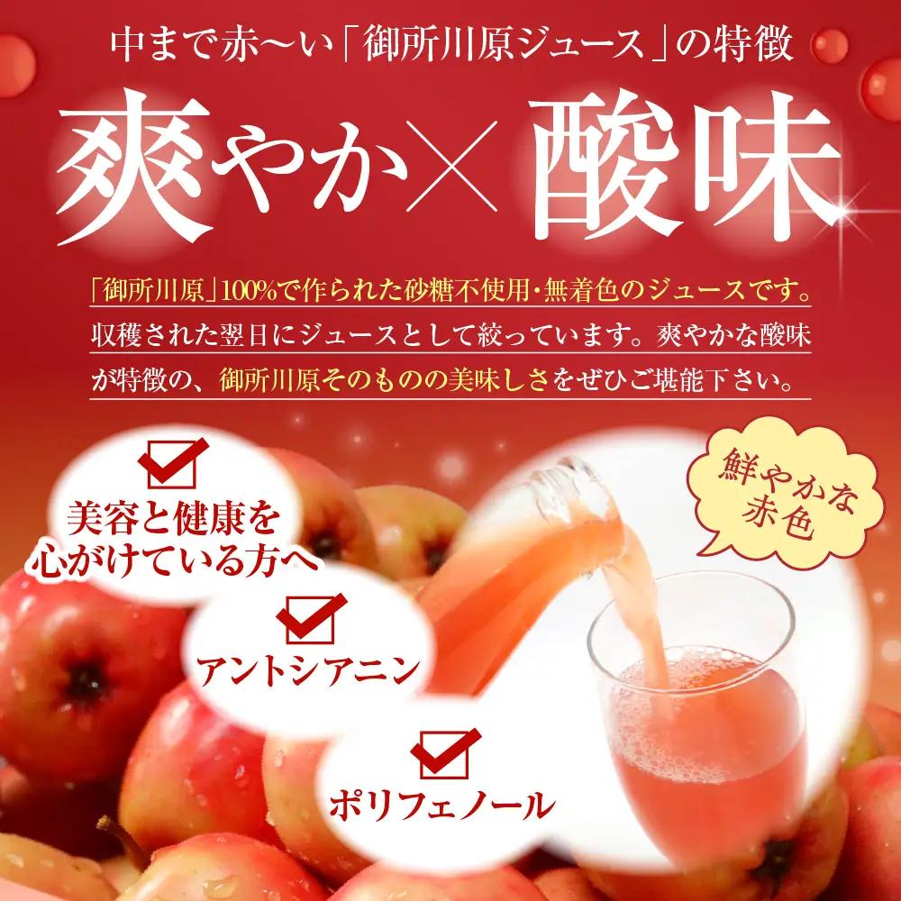りんごジュース 中まで赤～いりんごジュース1L×2本