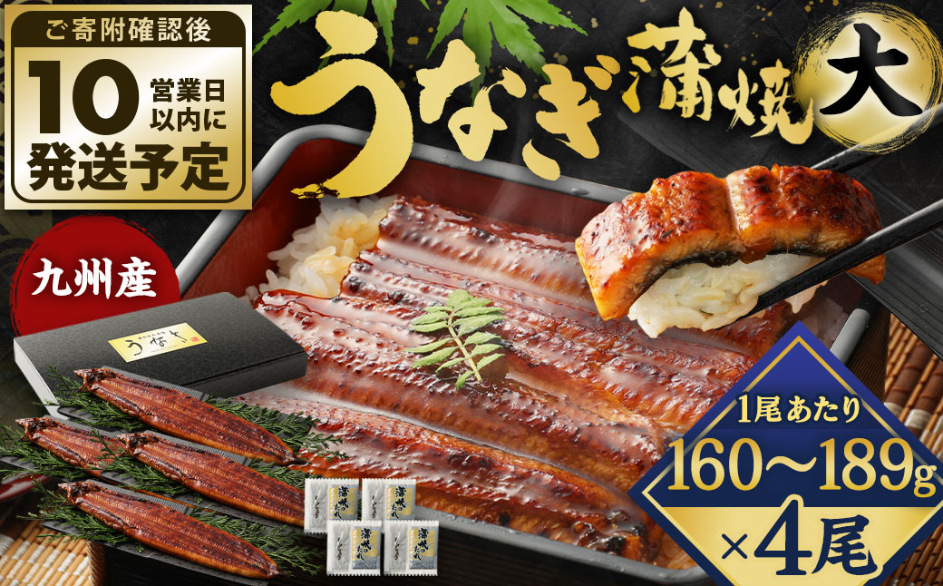 【年内配送】九州産 うなぎ 蒲焼 大 4尾 (1尾あたり160～189g)