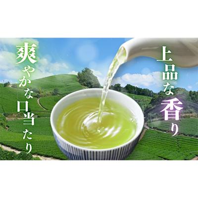 ふるさと納税 森町 優良品種茶「あさつゆ」100g×5袋【森町SF】 |  | 01