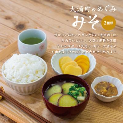 ふるさと納税 南さつま市 【鹿児島県産大豆使用】麦味噌・合わせ味噌詰合せ 計4.8kg (800g×6袋) 麦みそ 調味料 |  | 01