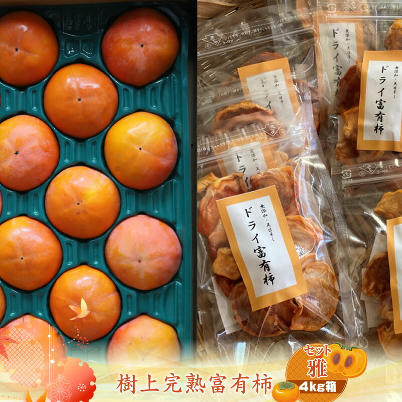 【ふるさと納税】【先行予約】樹上甘熟富有柿 【セット雅】4kg箱　〈出荷時期：2026年11月15日～2026年12月10日出荷終了〉【 柿 かき フルーツ 神奈川県 海老名市 】