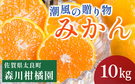 N-38 潮風の贈り物 みかん 10kg みかん ミカン 蜜柑 たらみかん 太良みかん 温州みかん 完熟みかん 甘熟 柑橘 有機栽培 国産 佐賀県産 太良町 こだわり 贈答品 産地直送 詰め合わせ 極甘