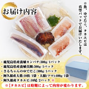 鹿児島県産！お刺身切るだけセット(6人～8人前)国産 刺し身盛 鹿児島産 魚貝 魚介 海産物 刺身 蛸 たこ 海老 エビ かんぱち タイ 簡単調理 おつまみ セット 小分け 個包装【さるがく水産】a-