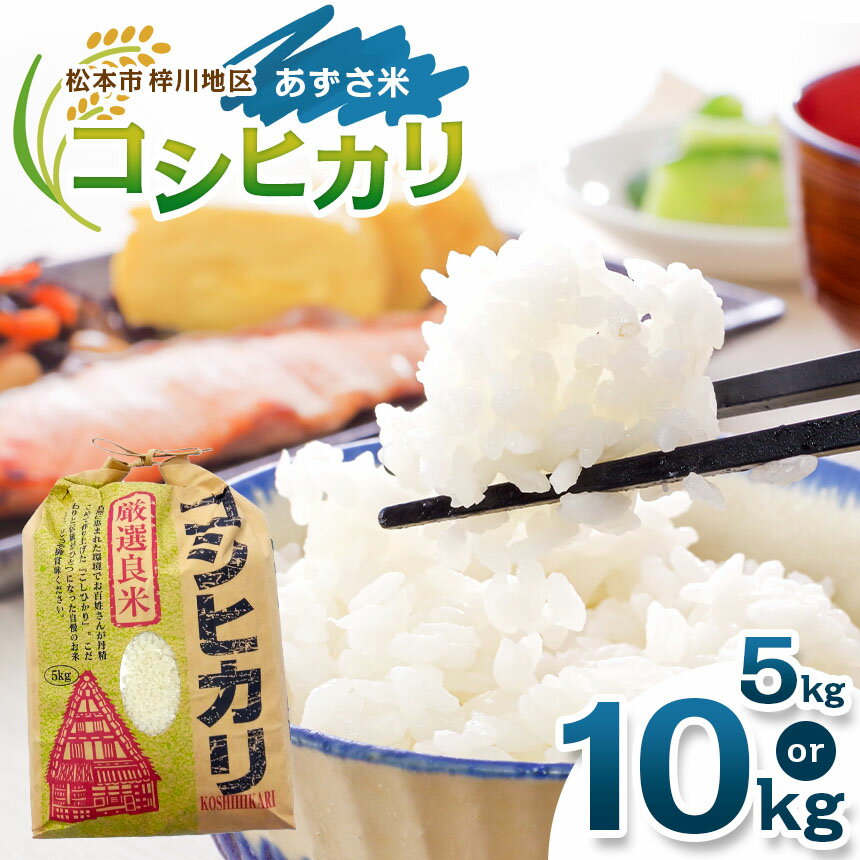 【ふるさと納税】松本市梓川地区「あずさ米」コシヒカリ5kg × 1袋～2袋｜ ふるさと納税 松本市 長野県 松本市 コシヒカリ 5kg 米 コメ 白米 精米 お取り寄せ 贈答 ごはん 贈り物 風味