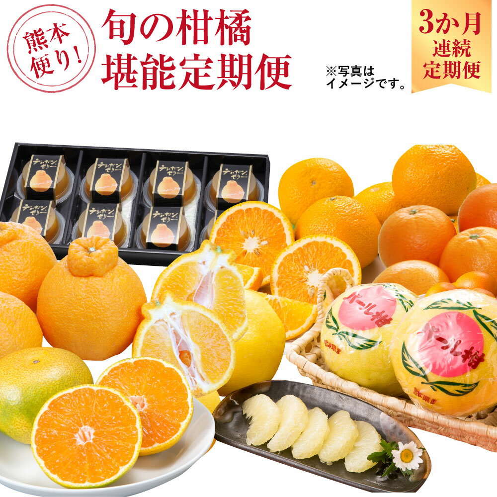 【ふるさと納税】熊本便り！ 旬の柑橘堪能定期便 デコポン キンカン ネーブルオレンジ スイートスプリング はるか パール柑 デコポン デコポンゼリーDX ハウスみかん 果物 フルーツ 柑橘 贈答用 定期便 常温 【2026年1月～4月より3か月連続発送】