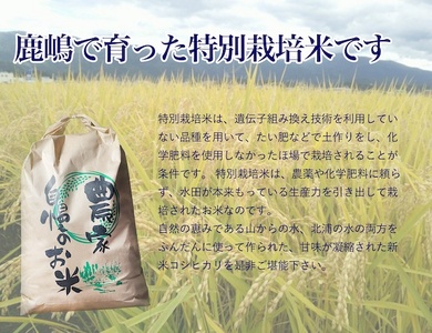 米 こしひかり 5kg 令和7年度産 特別栽培米 米