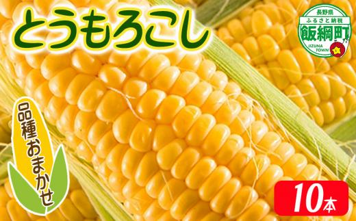 【 厳選品種 】 とうもろこし 10本 （ 品種おまかせ ） 配送先は本州限定 ふるさと振興公社 2026年8月下旬頃から2026年9月上旬頃まで順次発送予定 信州 トウモロコシ コーン ゴールドラッシュ ミルフィーユ グラビス ピーターコーン ハニーバンタム 長野県 飯綱町 [1841]