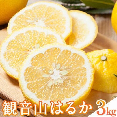 【ふるさと納税】【先行予約】観音山はるか 3kg (約15玉-21玉前後) 有限会社柑香園《2026年2月上旬-2月末頃出荷》和歌山県 紀の川市 フルーツ 果物 柑橘 はるか