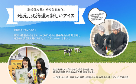 大地のアイス 穂別ともりん[120ml×6個]  【ふるさと納税 人気 おすすめ ランキング アイス アイスクリーム スイーツ デザート カンロ 大地のアイス ほべつ 穂別 あじうり セット 北海道 